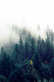 客厅现代装饰画高清图片