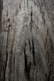 木板底纹背景素材