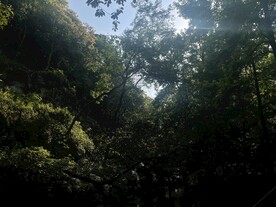 灵隐寺自然风景