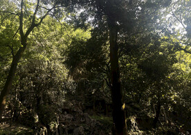 灵隐寺佛像雕刻