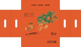 桔子天地盖包装盒 