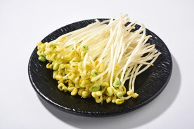 黄豆芽