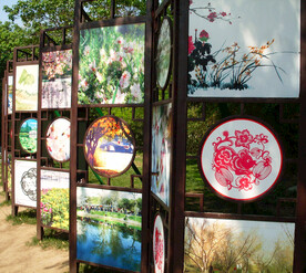 北京玉渊潭-樱花节