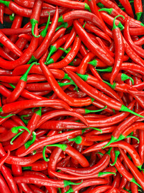 红辣椒摄影