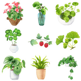 绿色盆栽植物绿叶枝叶