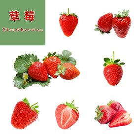草莓
