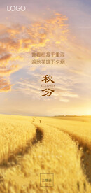 秋分节气海报