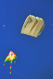 山东潍坊40届国际风筝节