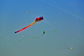 山东潍坊40届国际风筝节