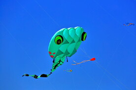 山东潍坊40届国际风筝节