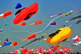 山东潍坊40届国际风筝节