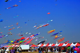 山东潍坊40届国际风筝节
