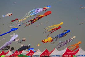 山东潍坊40届国际风筝节