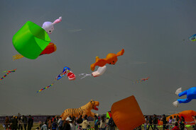 山东潍坊40届国际风筝节