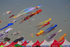 潍坊国际风筝节