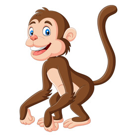 猴子