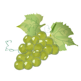 葡萄