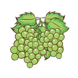 葡萄