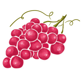 葡萄