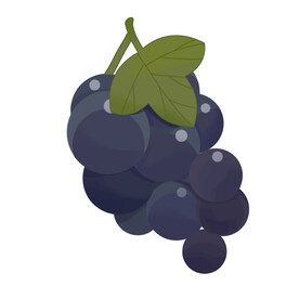葡萄