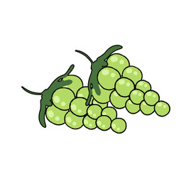 葡萄