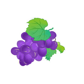 葡萄