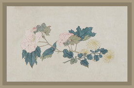 二十四节气花卉