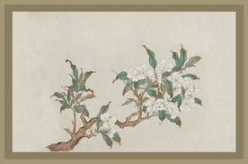 二十四节气番花