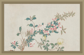 二十四节气番花