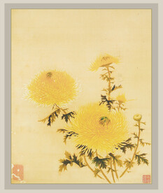 国画菊花系列