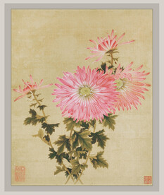 国画菊花系列