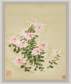 国画菊花系列