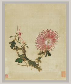 国画菊花系列