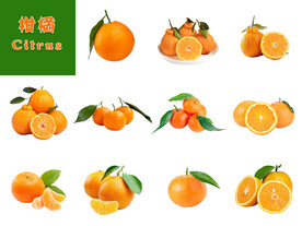 柑橘