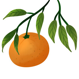 桔子