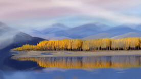 云雾山下芦苇荡