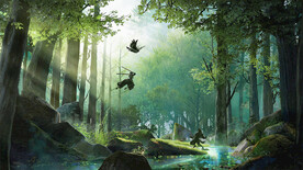 阳光透入茂密丛林