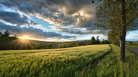 日落西山绿草田园