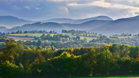 重峦山川茂密丛林