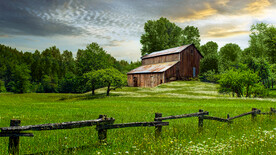 绿色庄园农场小木屋树林夕阳灰天