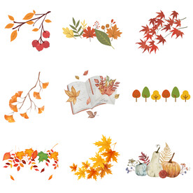 秋天枫叶金黄色丰收主题