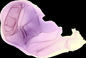 水彩墨韵肌理纹理背景图