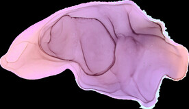 水彩墨韵肌理纹理背景图