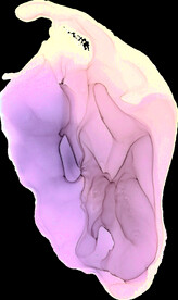 水彩墨韵肌理纹理背景图