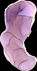 水彩墨韵肌理纹理背景图