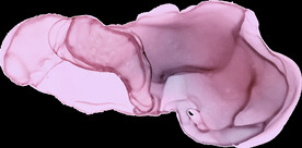 水彩墨韵肌理纹理背景图