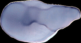 水彩墨韵肌理纹理背景图