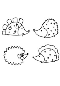 手绘简笔小刺猬