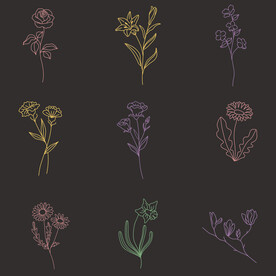 简约花朵枝叶植物线条线稿