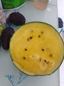 黄囊西瓜